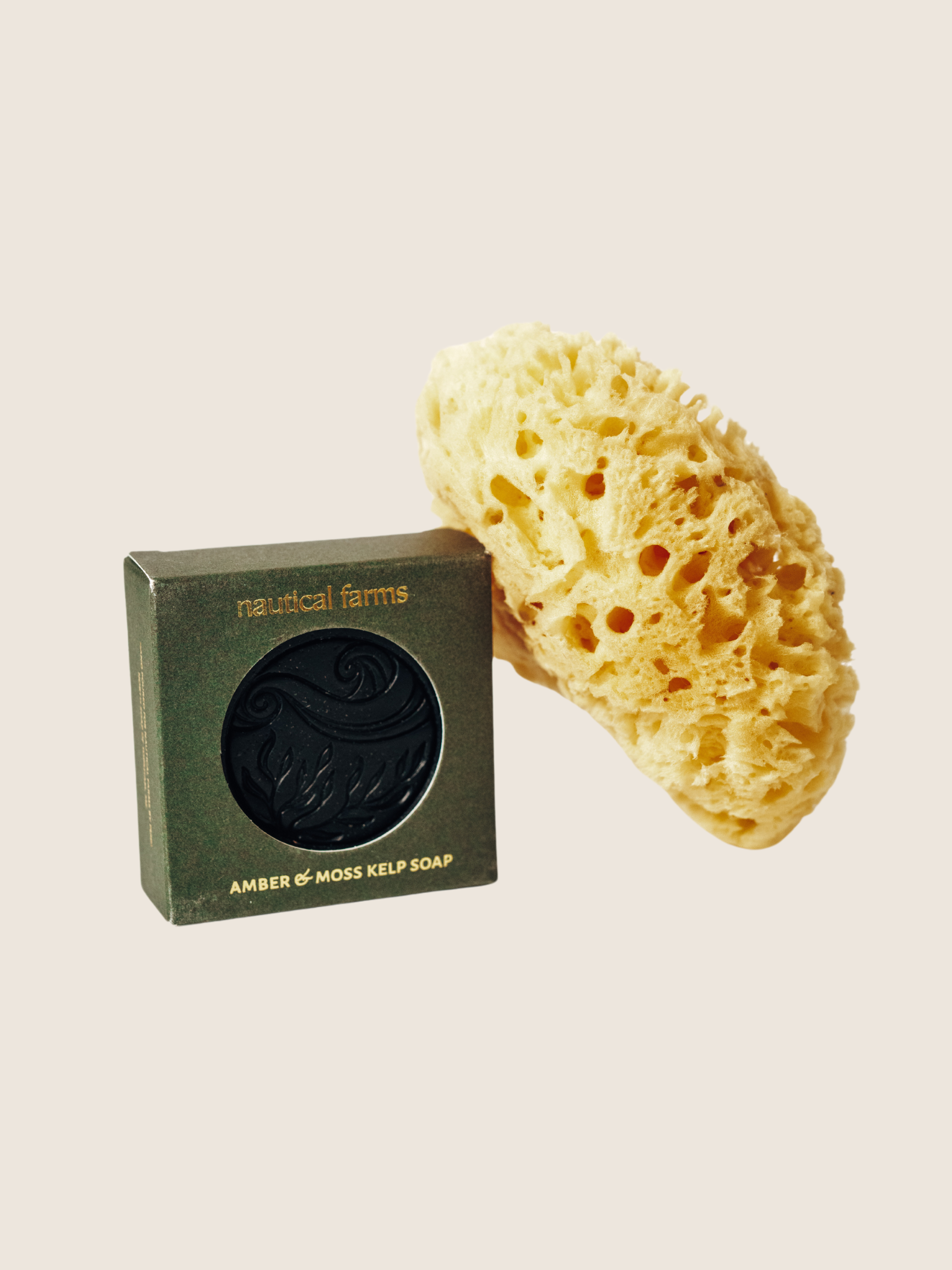 seaweed soap & sea sponge bundle